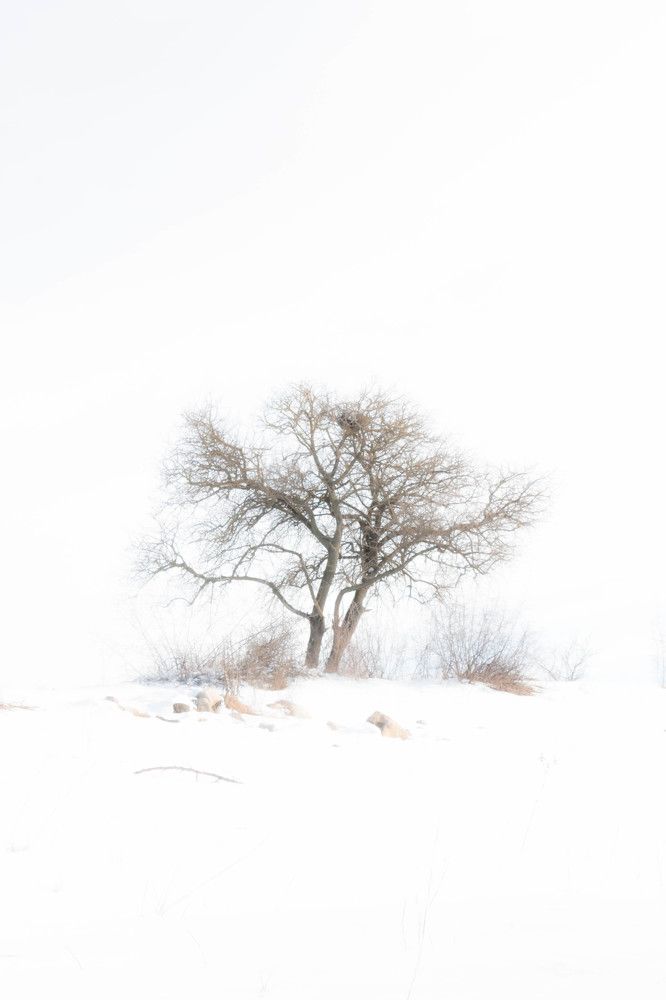 Photograph by Арцах Бабаян