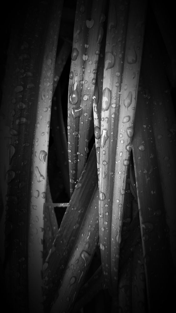 Photograph by Татьяна Смирнова