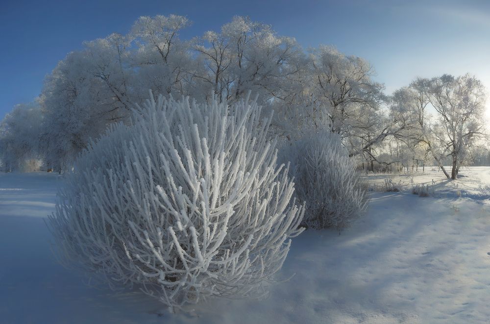 Photograph by Таня SHE (Aiya)