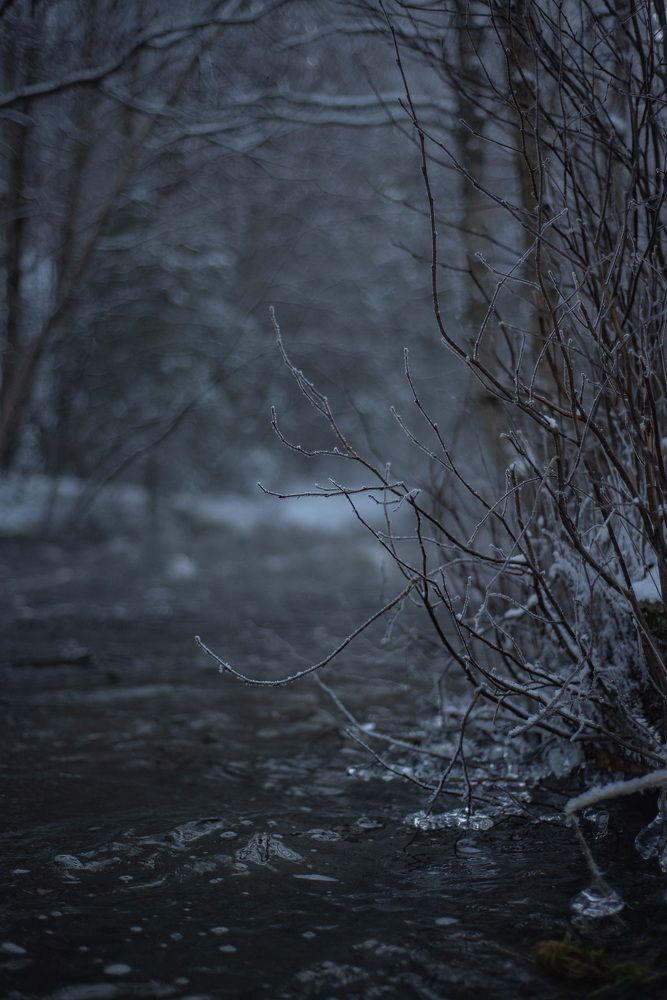 Photograph by Svetlana Davydova