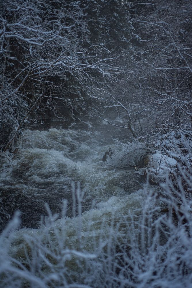 Photograph by Svetlana Davydova