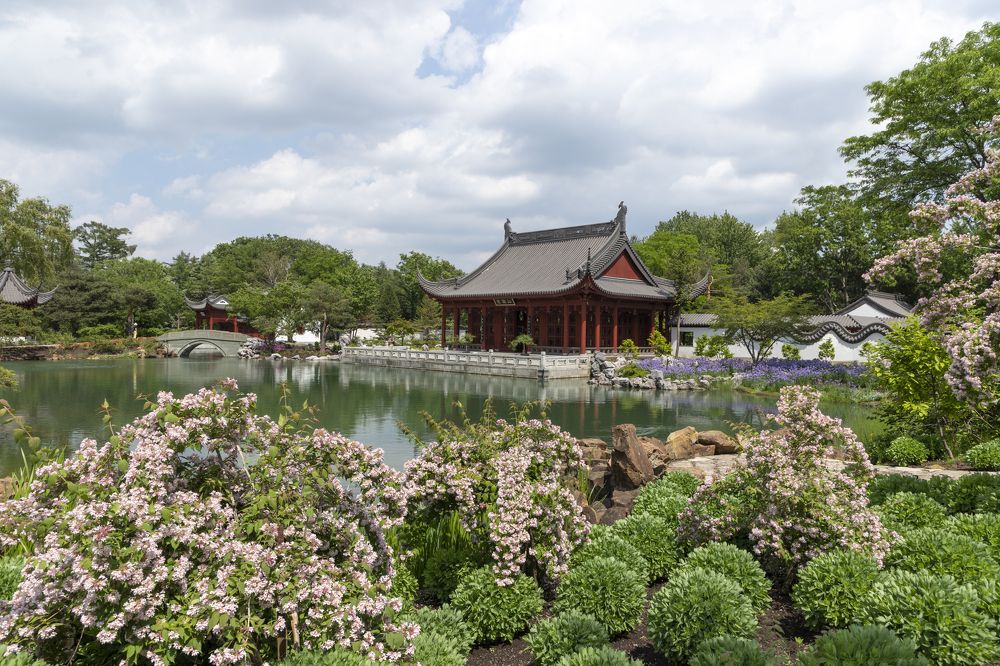 Montreal Chinese garden in full bloom