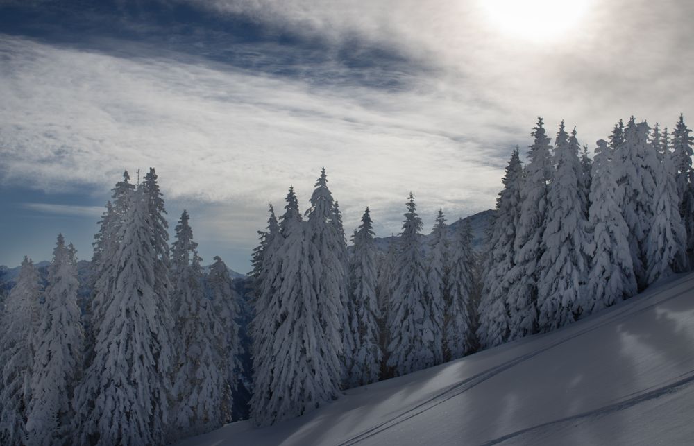 Photograph by Mariia Muratova