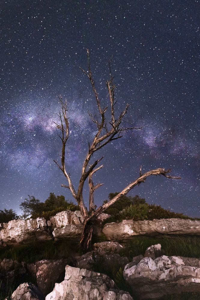 Photograph by Alejandra Heis