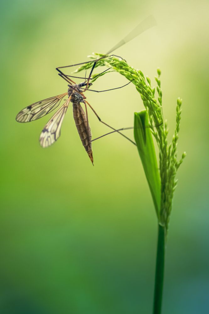 Photograph by Patryk George