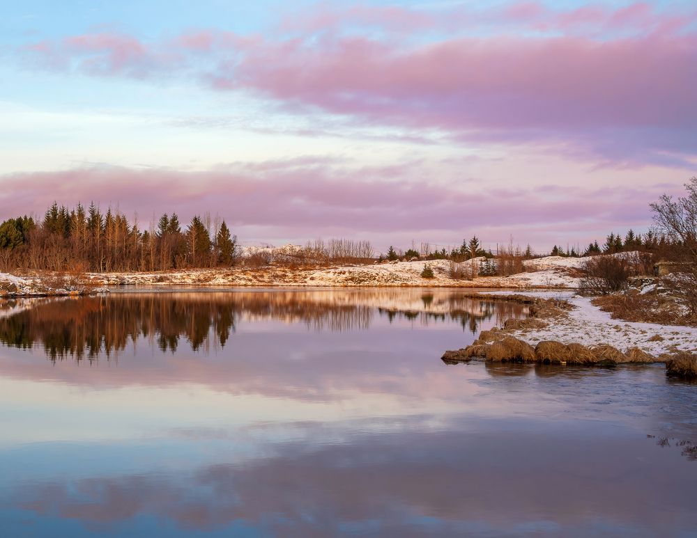 Photograph by Piotr Mickevic