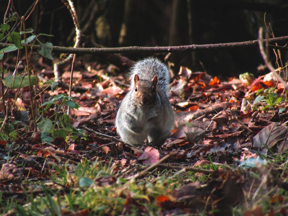 Photograph by Lynne Hunter