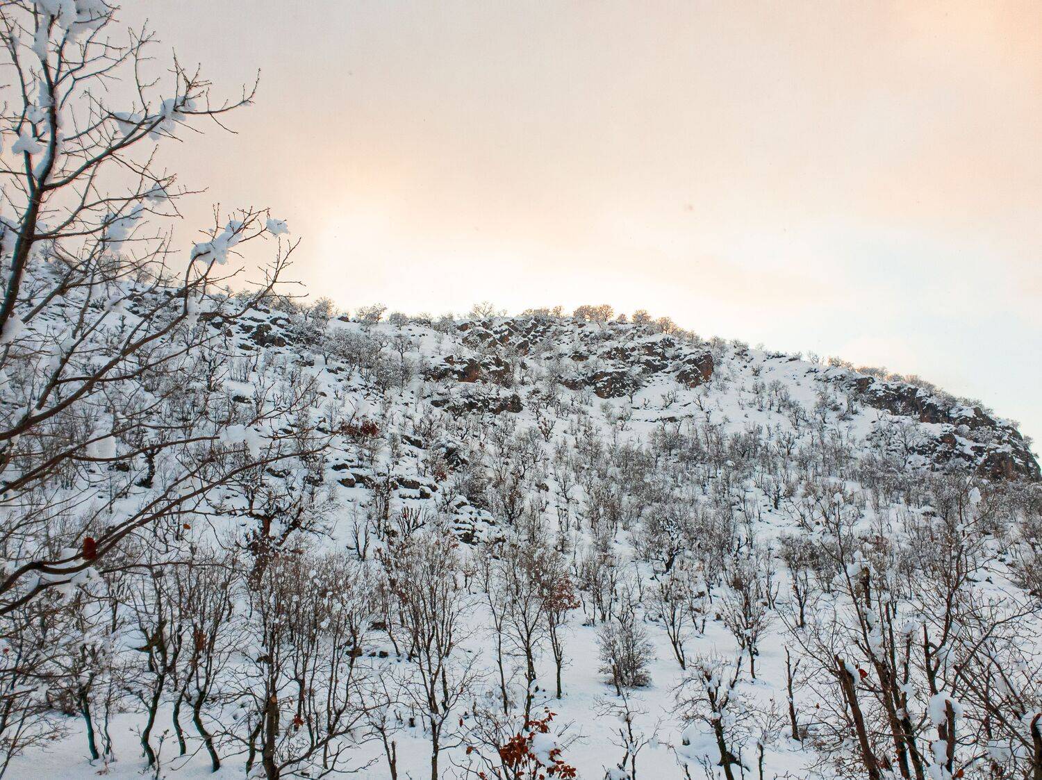 Photo #7116305