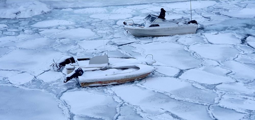 Photograph by Elisabeth Vinther