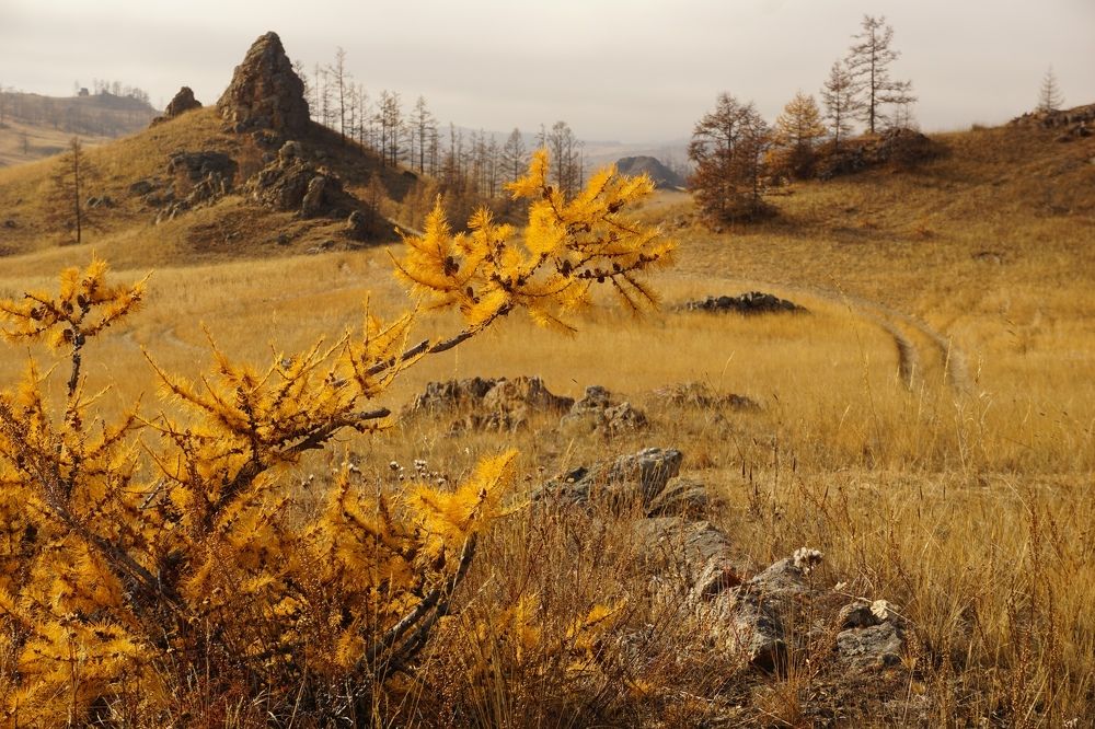 Photograph by Анастасия Скворцова
