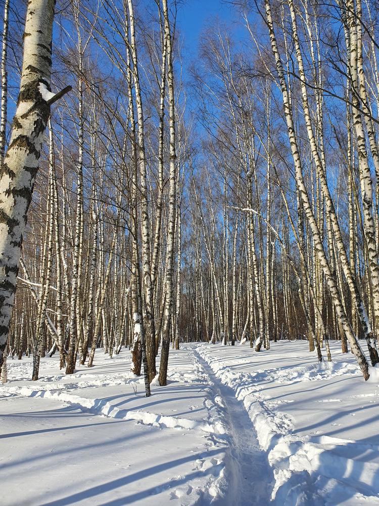 Photograph by Ева К.