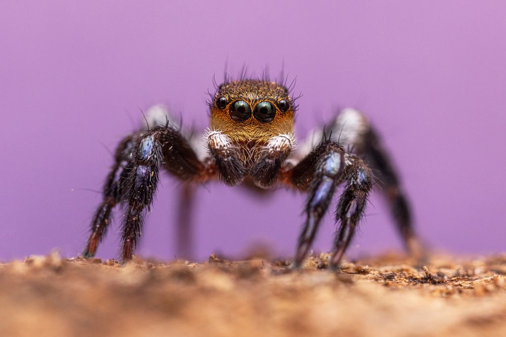 Photograph by André Luiz Araújo