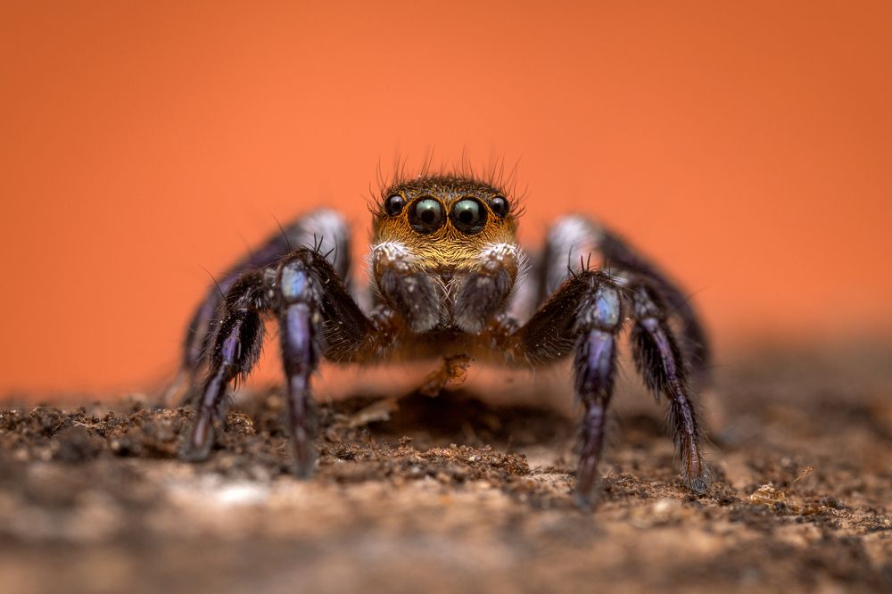 Photograph by André Luiz Araújo