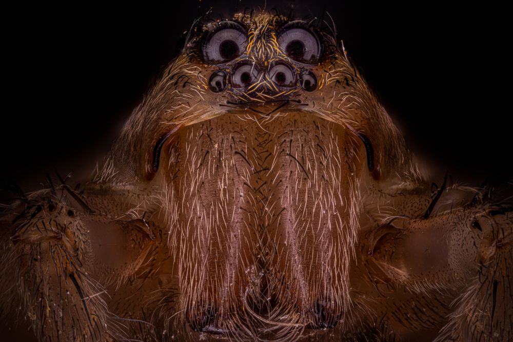 Photograph by André Luiz Araújo