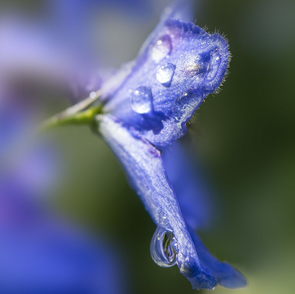 Photograph by Ольга Блохина