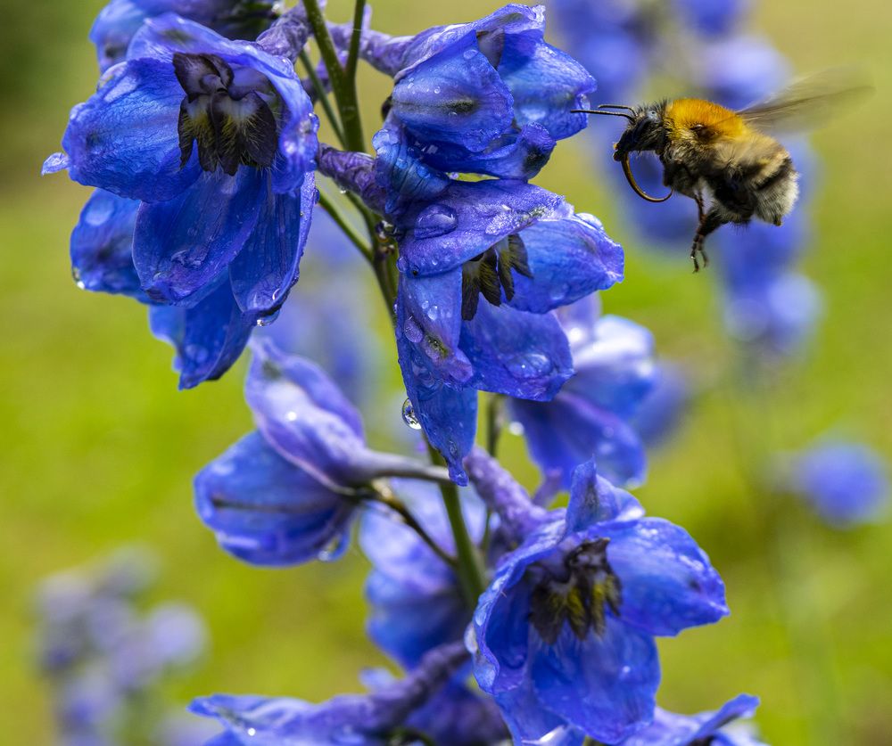 Photograph by Ольга Блохина