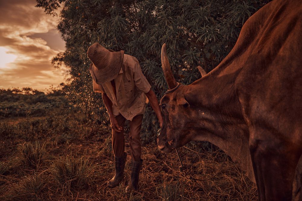 Photograph by Bill Grillo