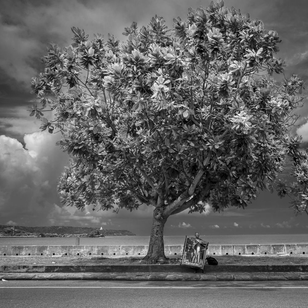 Photograph by Pouyan Safavi