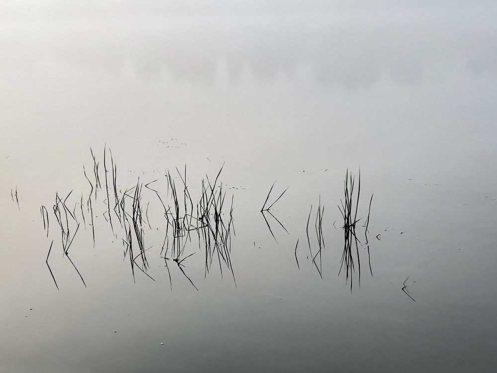 Фотография автора Наталья Васько -Черданцева