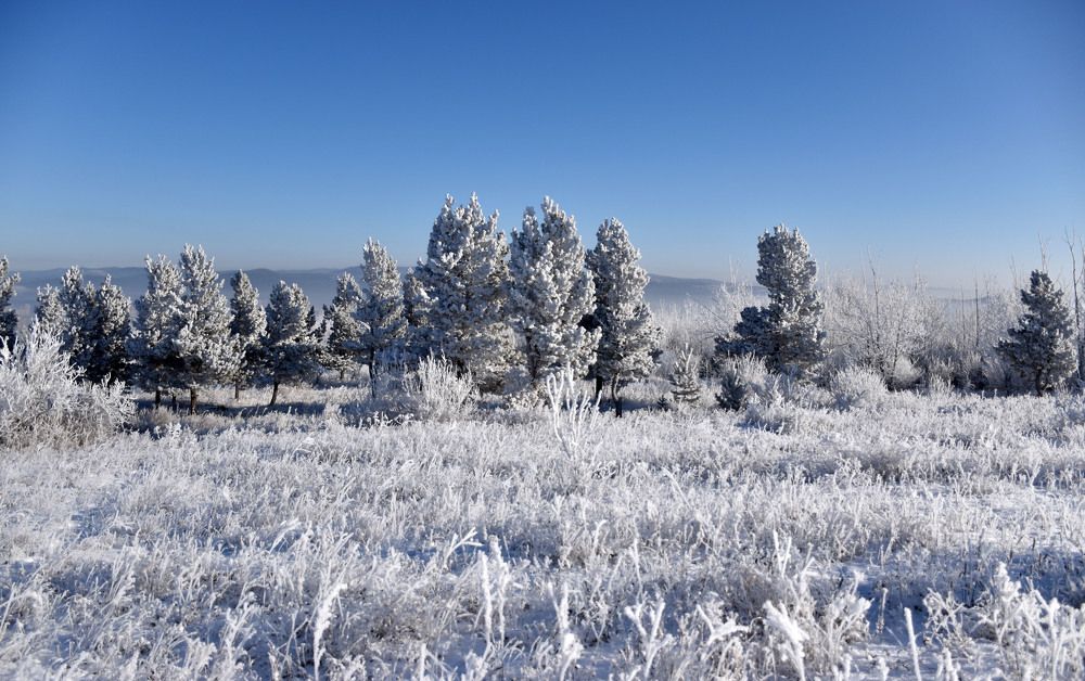 Photograph by Алексей Лаврентьев