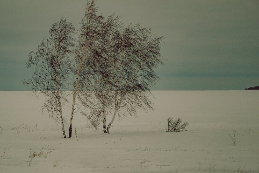 Photograph by Алия Аткельтирова