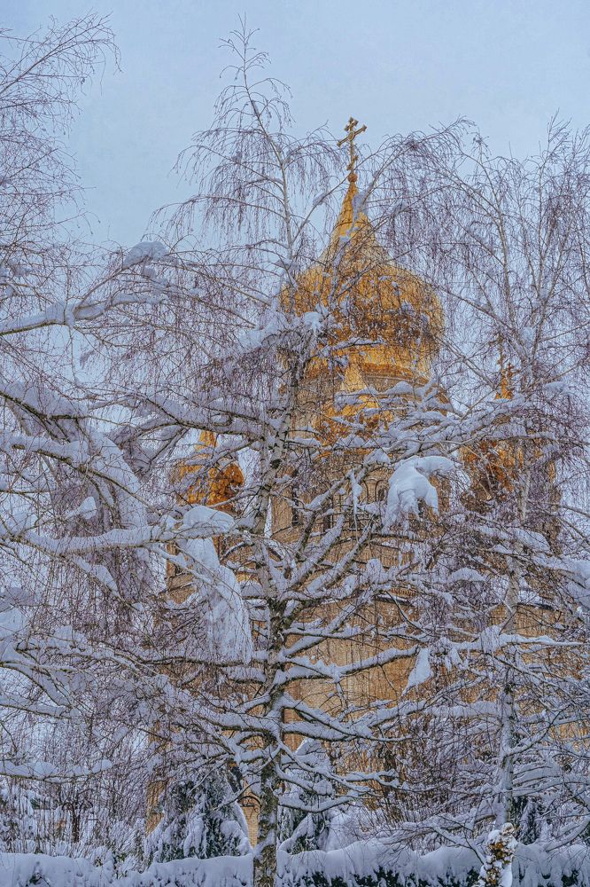 Photograph by Сергей Кадыров