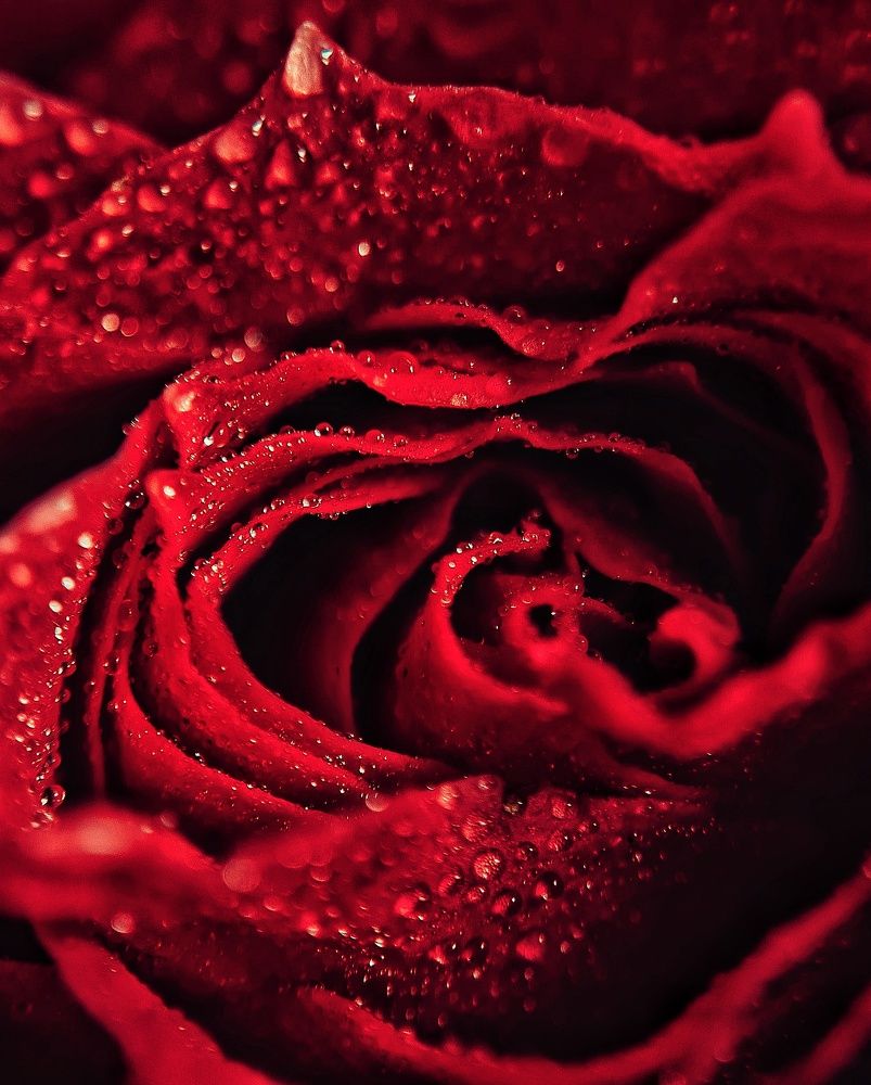 Photograph by Ольга Веселова