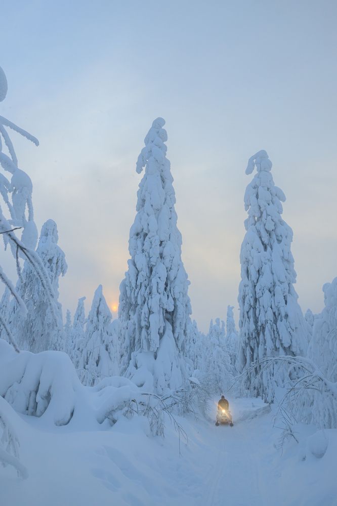 Photograph by Andrey Lagunov