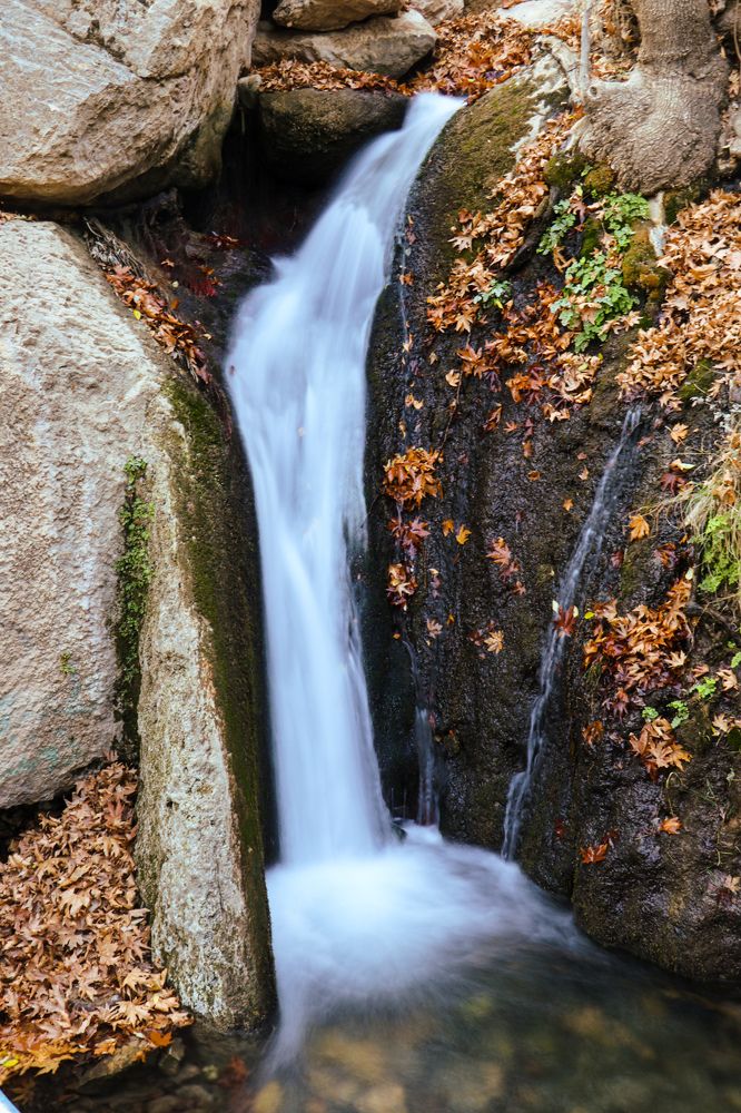 Photograph by Behnam Lohrasebi