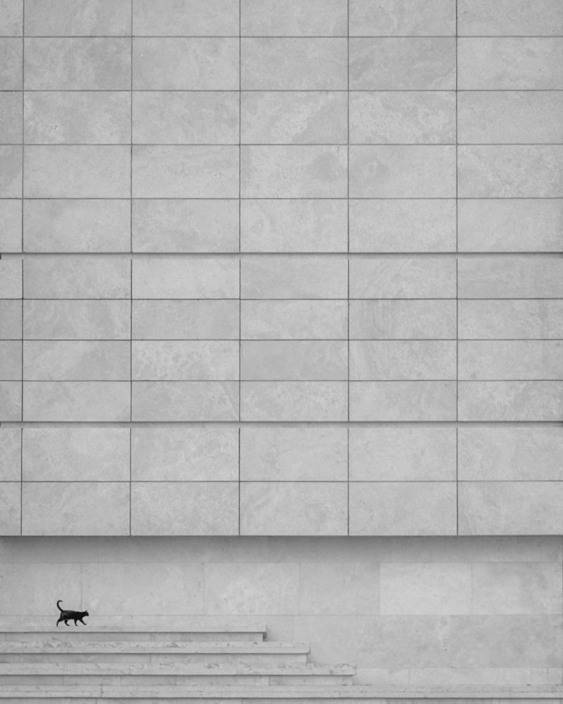 Фотография автора Mojtaba Gitinezhad