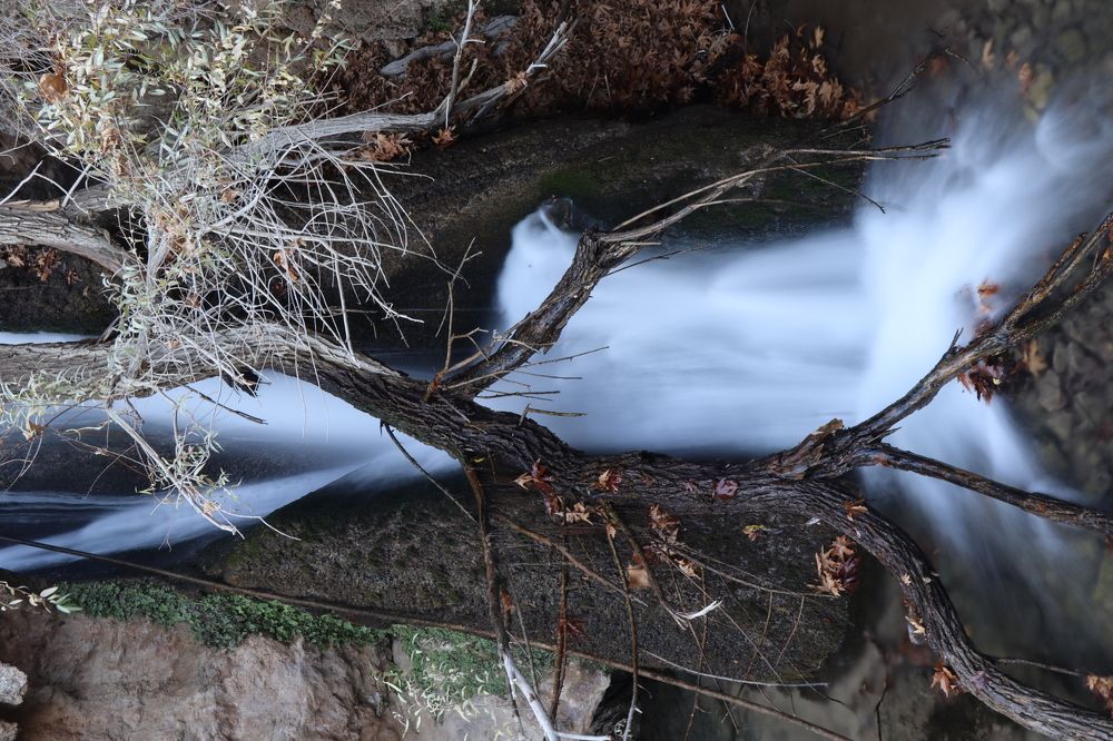 Photograph by Behnam Lohrasebi