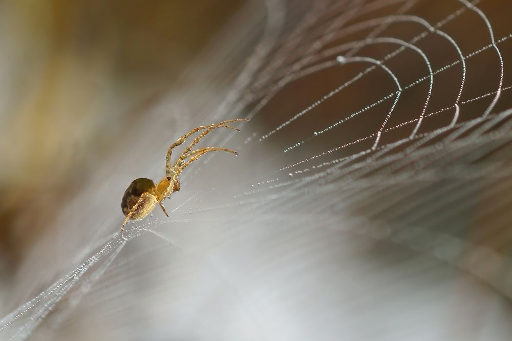 Фотография автора  Галина