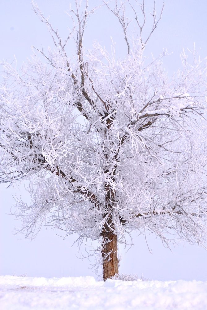 Photograph by Наталия Захарова