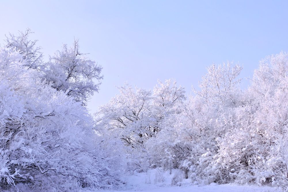 Photograph by Наталия Захарова