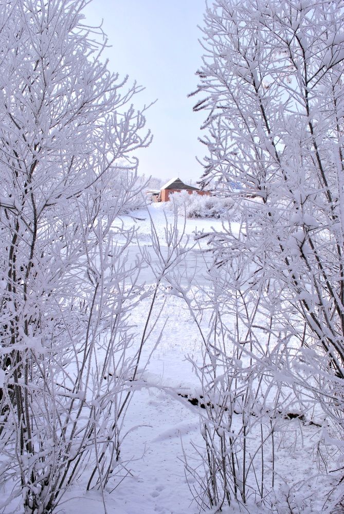 Photograph by Наталия Захарова