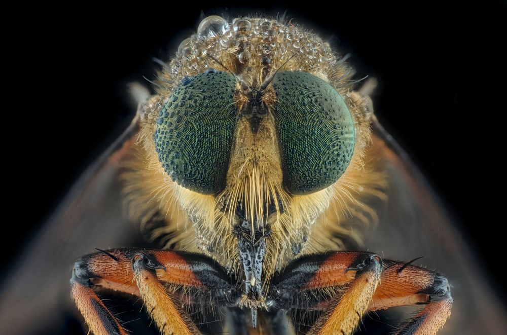 Photograph by Yulianto Pongge