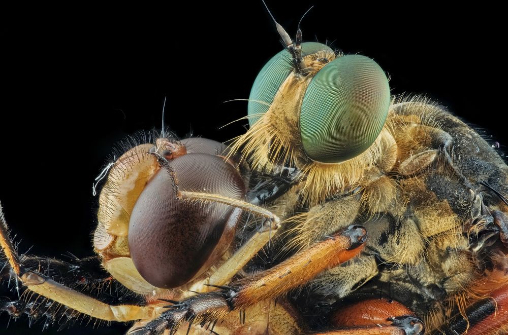 Photograph by Yulianto Pongge