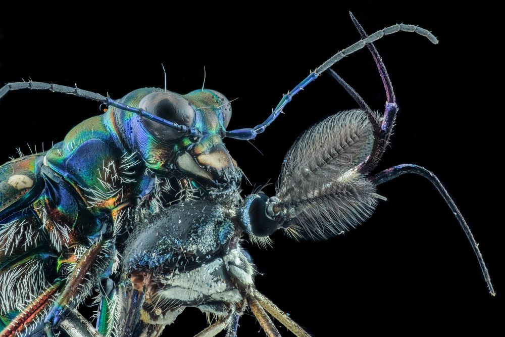 Photograph by Yulianto Pongge