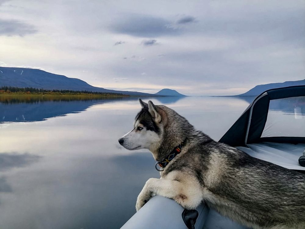 Photograph by Elena Doroshenko