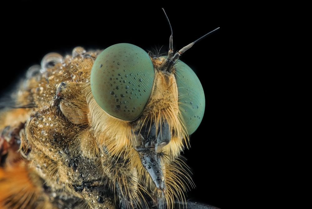 Photograph by Yulianto Pongge