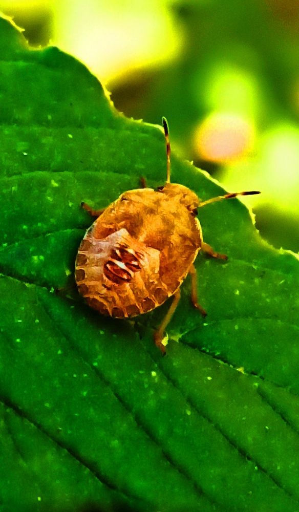 Photograph by Наталия Крайник