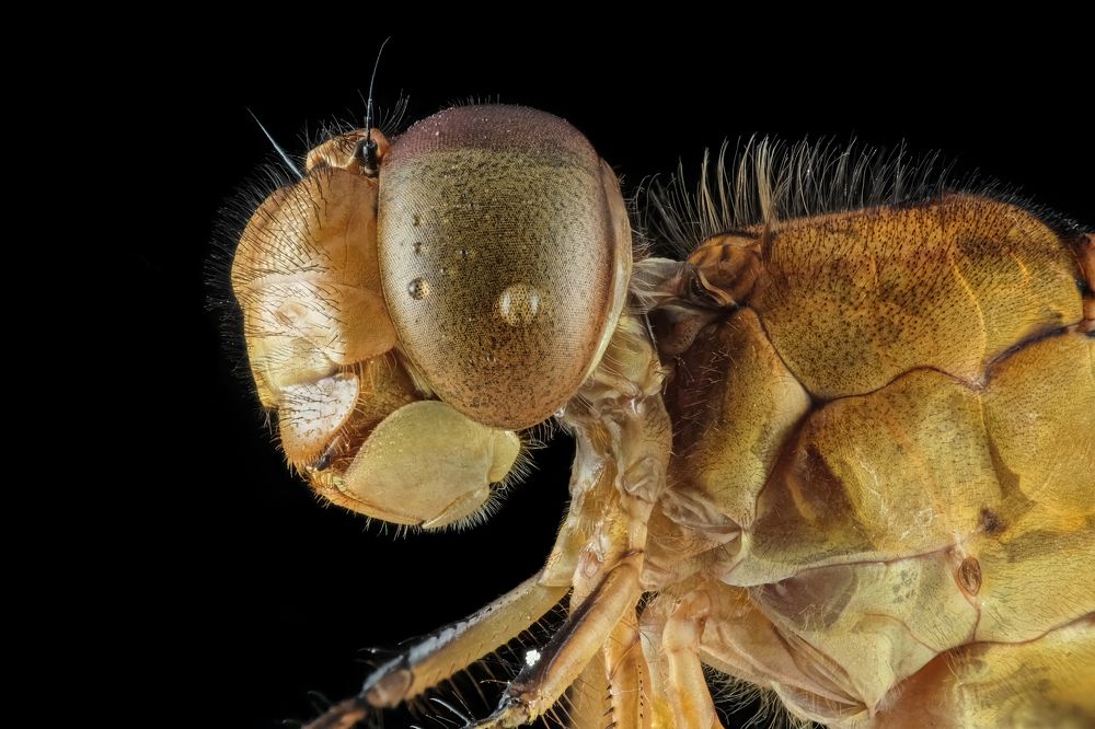 Photograph by Yulianto Pongge