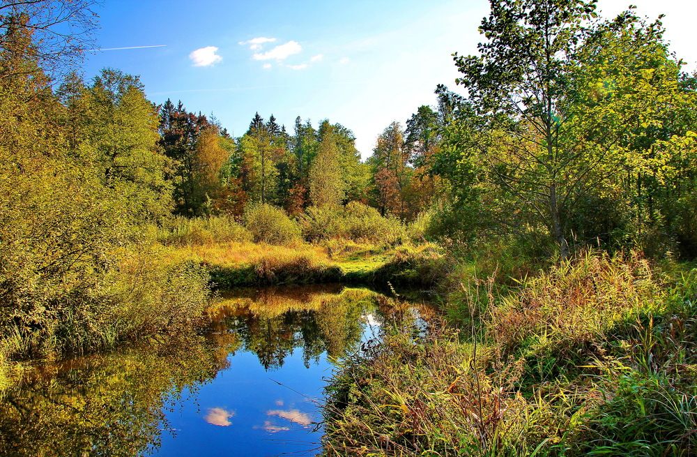 Photograph by Виталий Симоненков