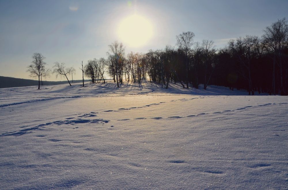 Photograph by Наталья Иванова