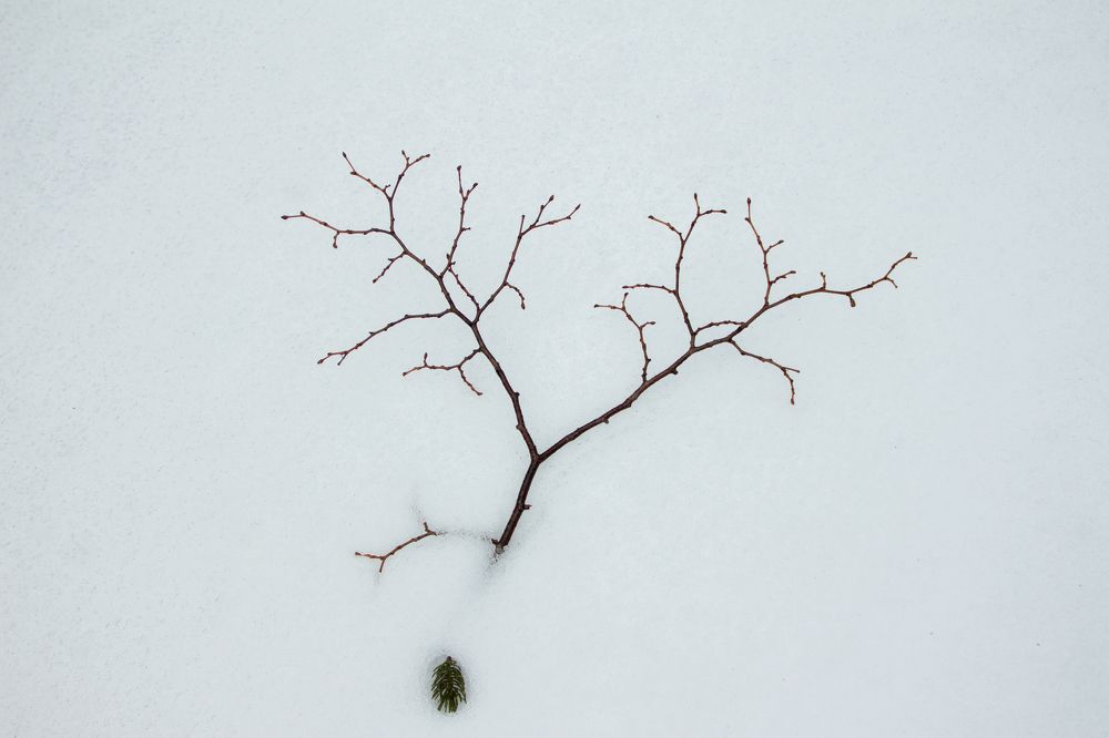 Photograph by Елена Кондратьева