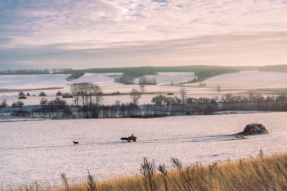 Однажды в студеную, зимнюю пору...