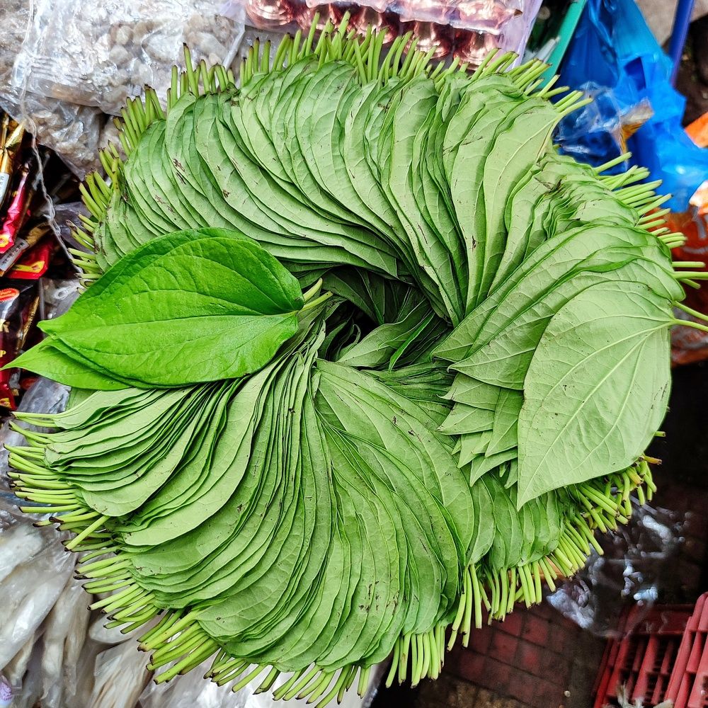Betel Leaves
