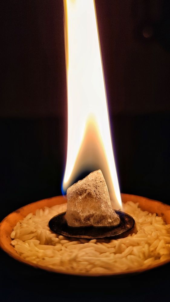 Camphor Fire