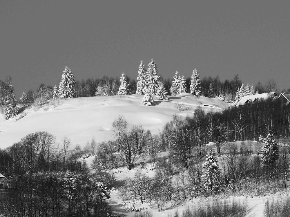 Photograph by Cornelia Ilie