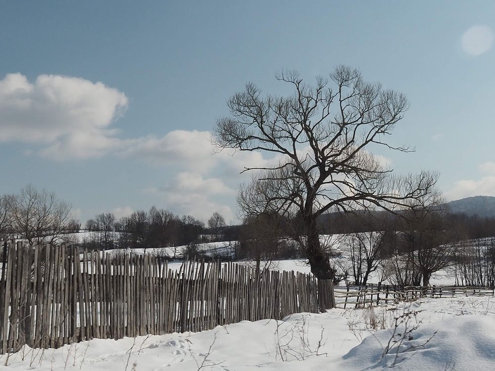 Photograph by Cornelia Ilie